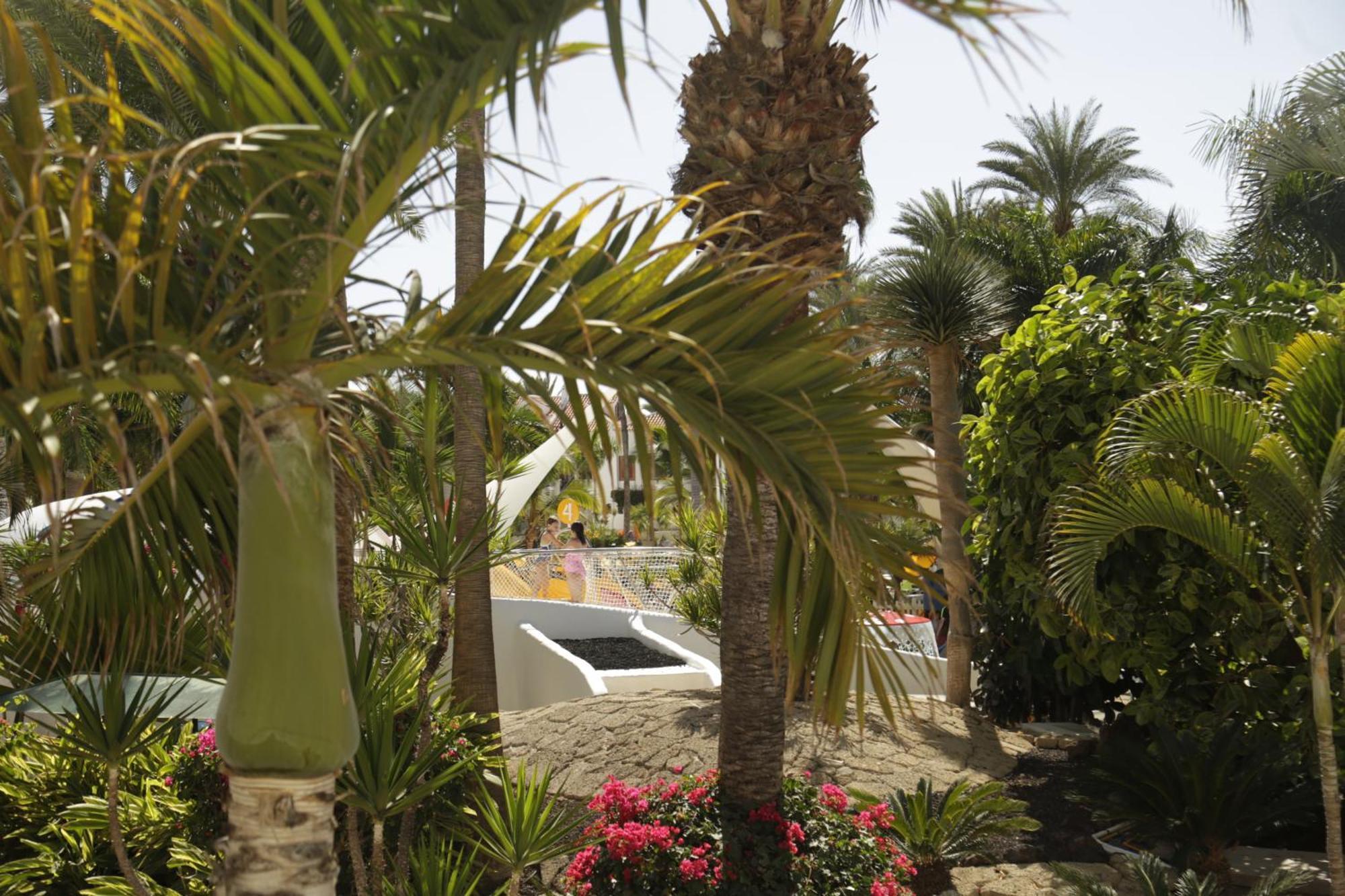 Parque Santiago 3 Luxery Apartment, Playa Las Americas, Arona, Tenerife Playa de las Américas Exterior foto